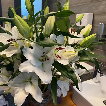 Hotel готельно-ресторанний комплекс фамілія Bushtyno